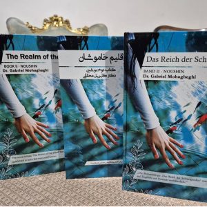 The Realm of the Silent: Trilogy - Image 3